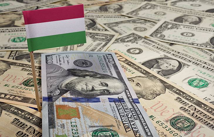 Hungarian flag with US currency representing tax relationship